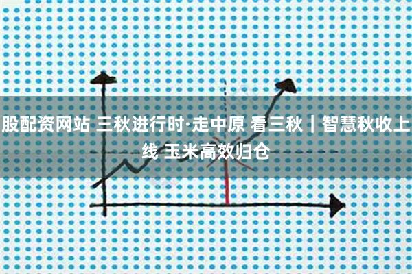 股配资网站 三秋进行时·走中原 看三秋｜智慧秋收上线 玉米高效归仓
